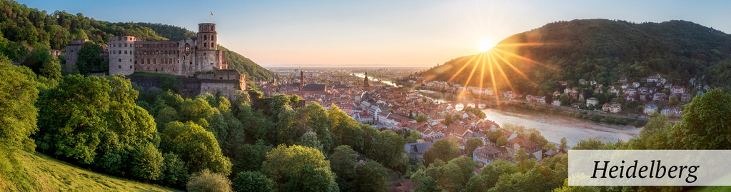 Heidelberg-partnertown of Cambridge and unesco city of literature