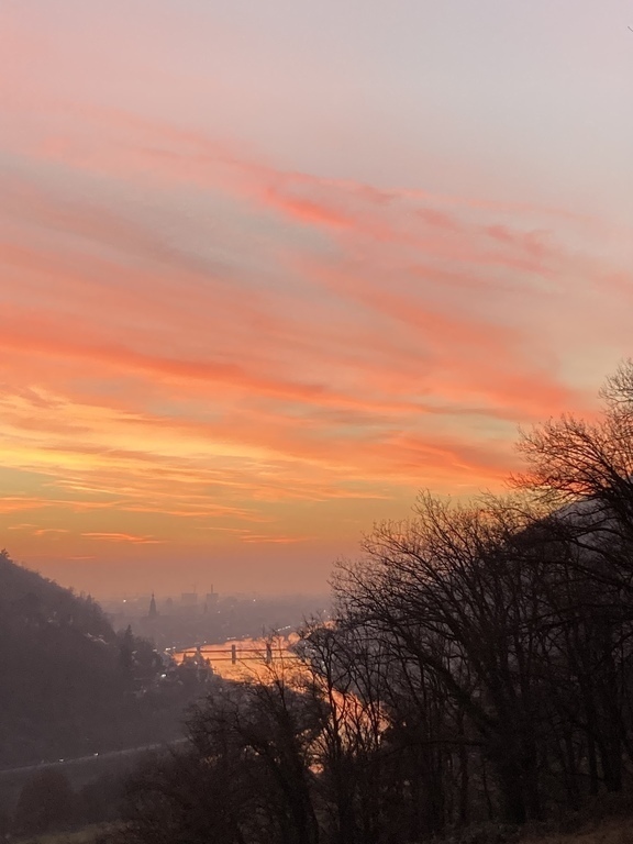 Heidelberg-Ziegelhausen