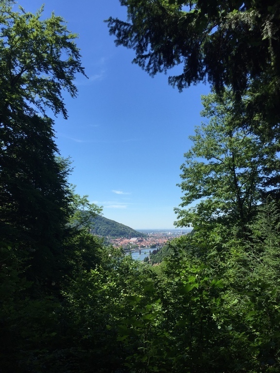 view on the Neckar from the famous Philosophenweg in Odenwald (10')