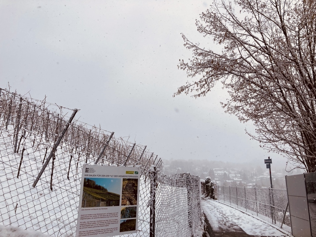 Food path behind our house