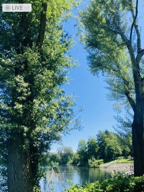 Lake Heddesheim in 1h