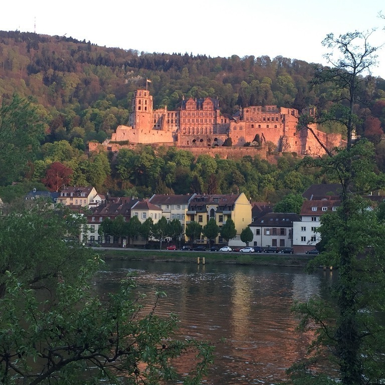 Heidelberg castle in spring