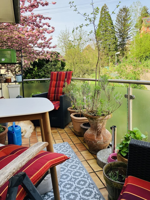 Balcony I with view to Turmberg train