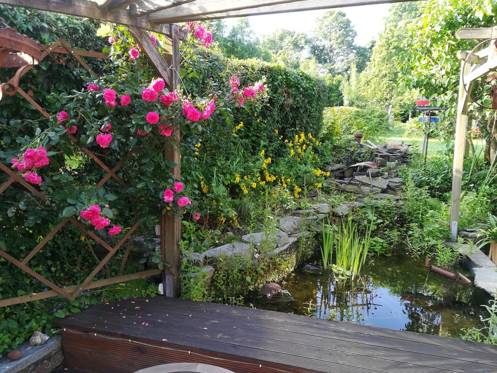 kleiner Teich an der Haus-Terrasse