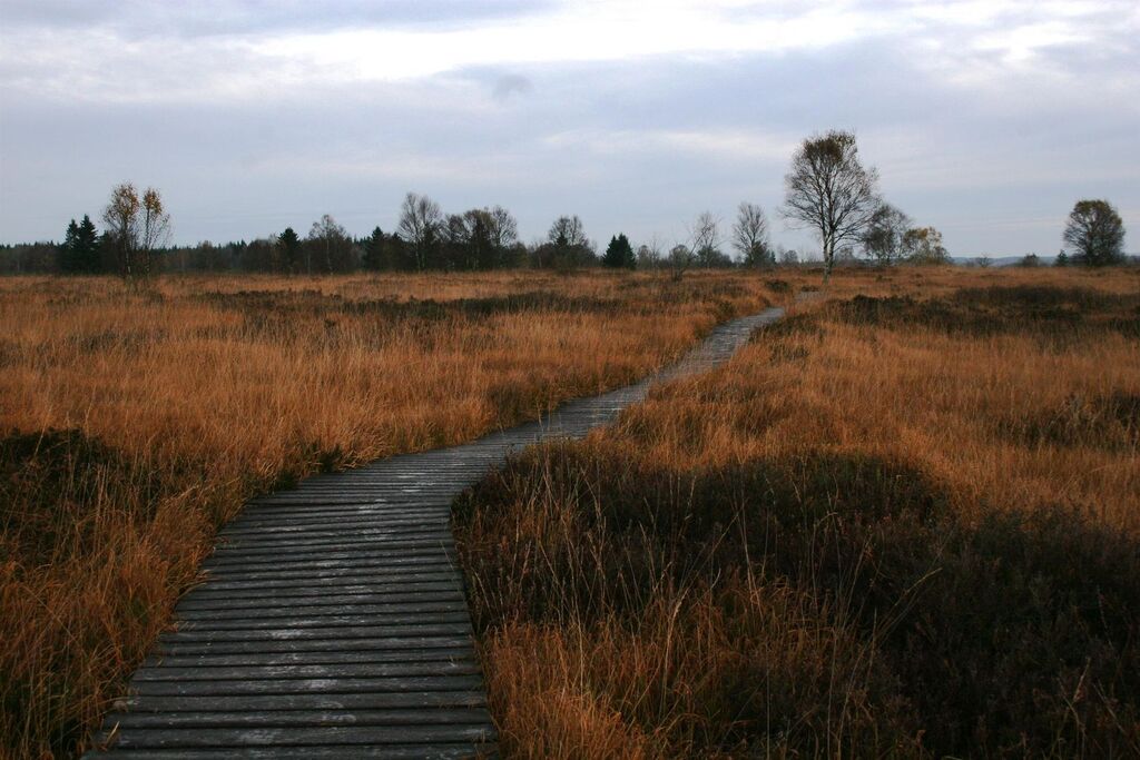 Deutsch-Belgischer Naturpark Hohes Venn-Eifel, 40 km entfernt