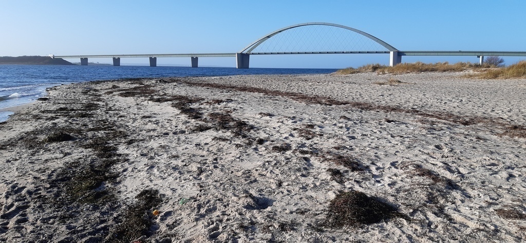 Fehmarnbelt Bridge (Road to Copenhagen)
