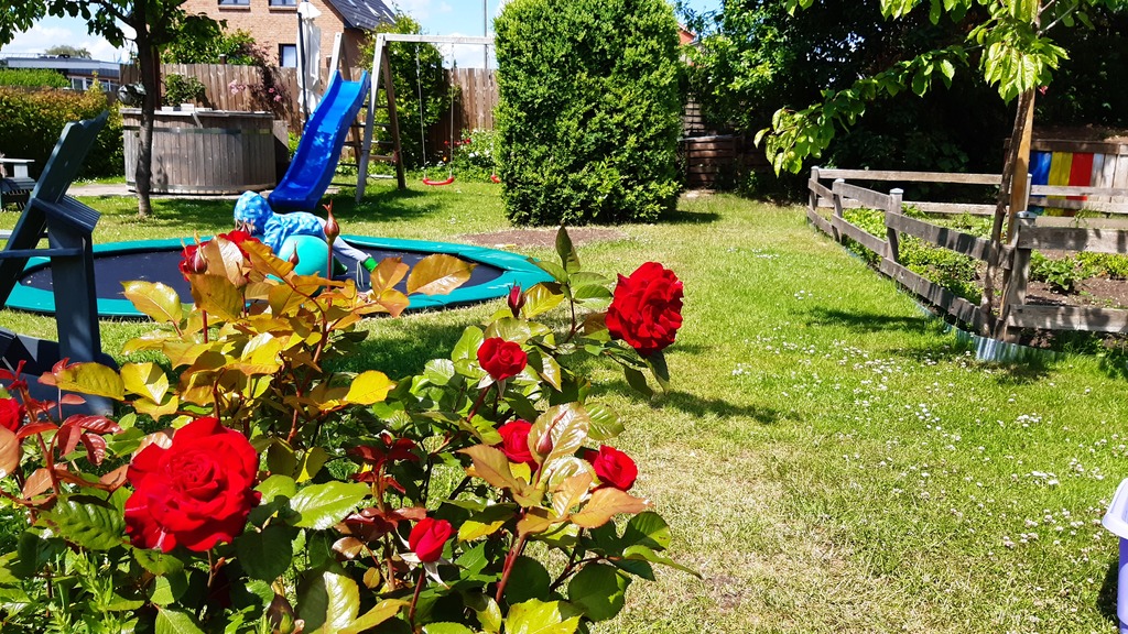 1000 square metres garden