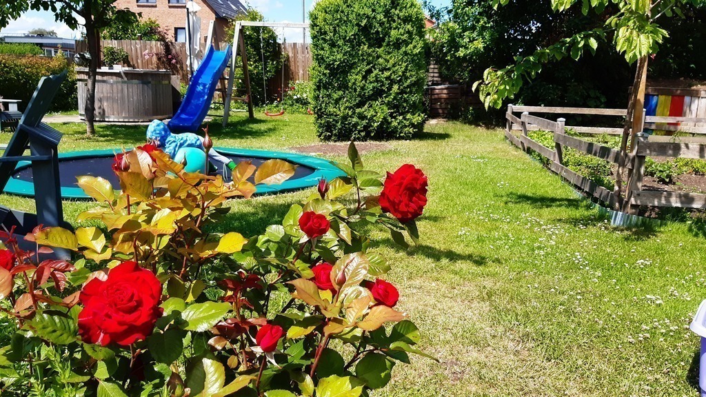 1000 square metres garden