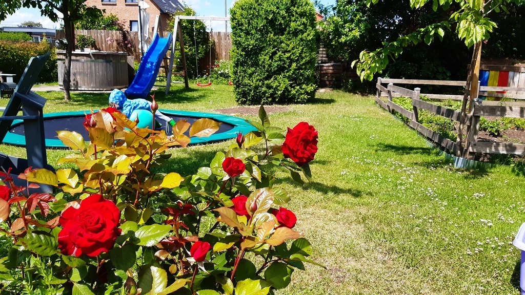 1000 square metres garden