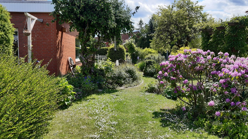 blossoms in June 2020