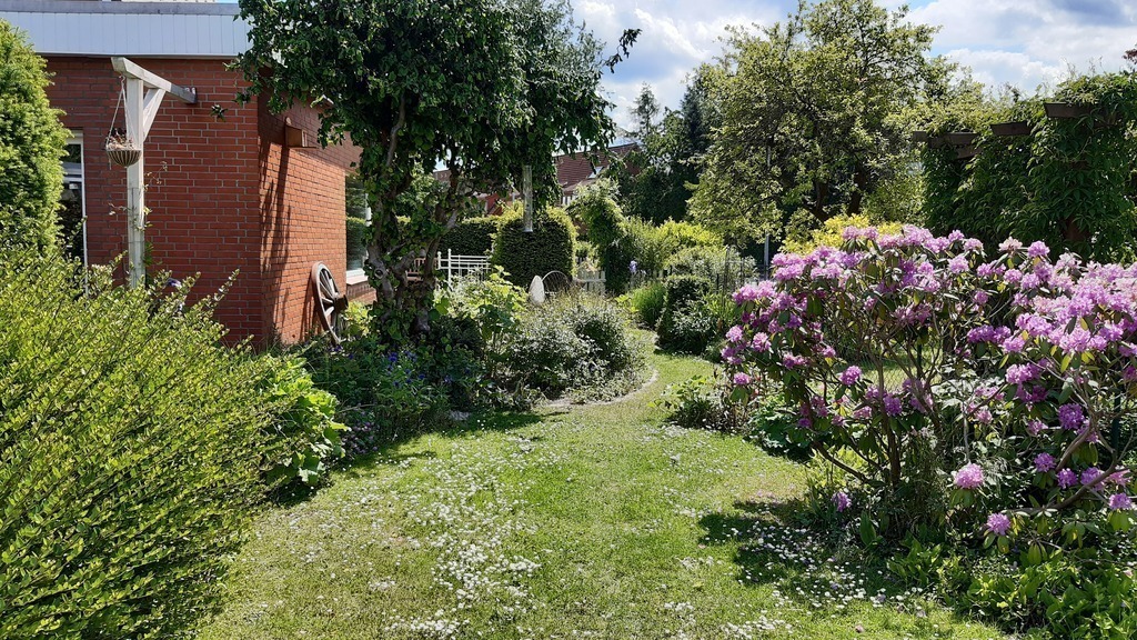 blossoms in June 2020