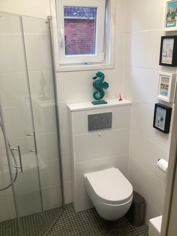 small guest bathroom downstairs with additional shower