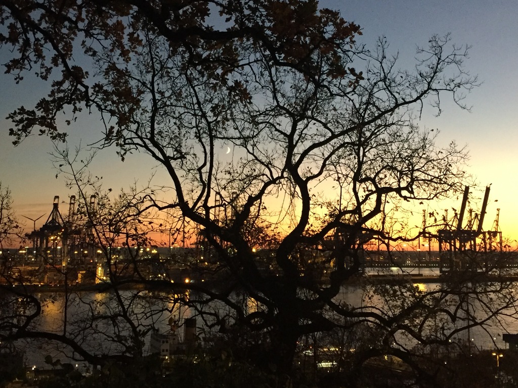 our neighbourhood - view from the park to the harbour
