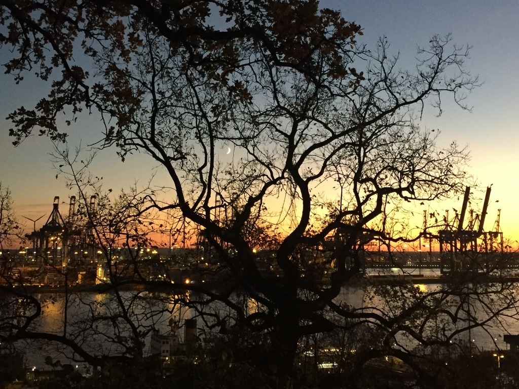 our neighbourhood - view from the park to the harbour