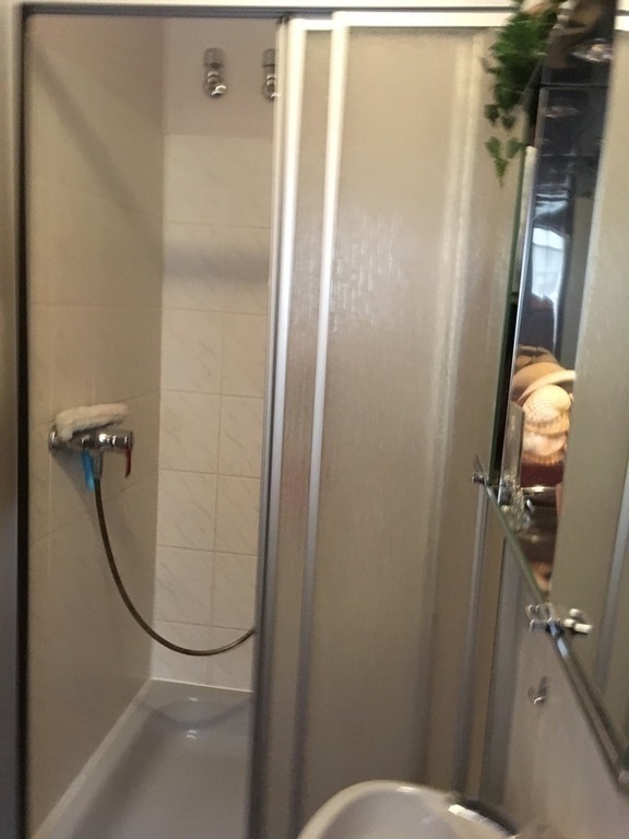 Dusche im Gäste-WC/Shower in guest toilet