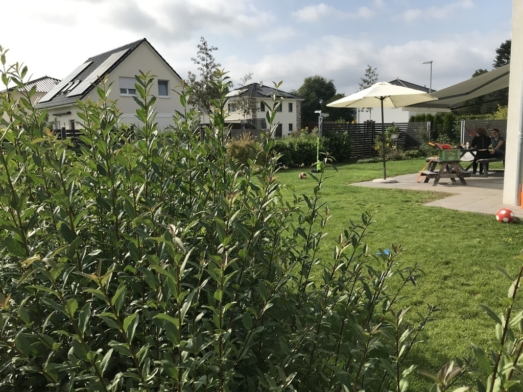 garden