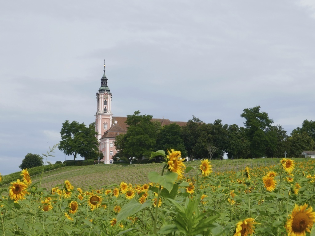 Are you up for a walk to Birnau Basilica? 