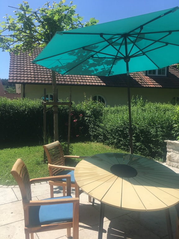 Garden behind the house 