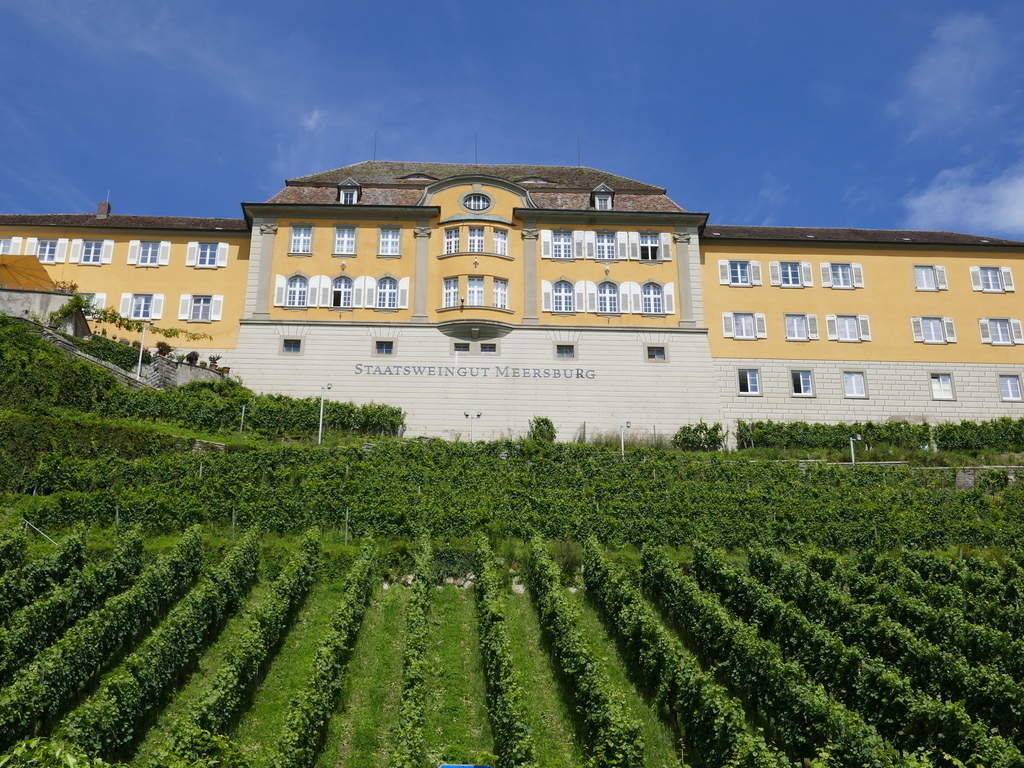 Staatsweingut Meersburg 