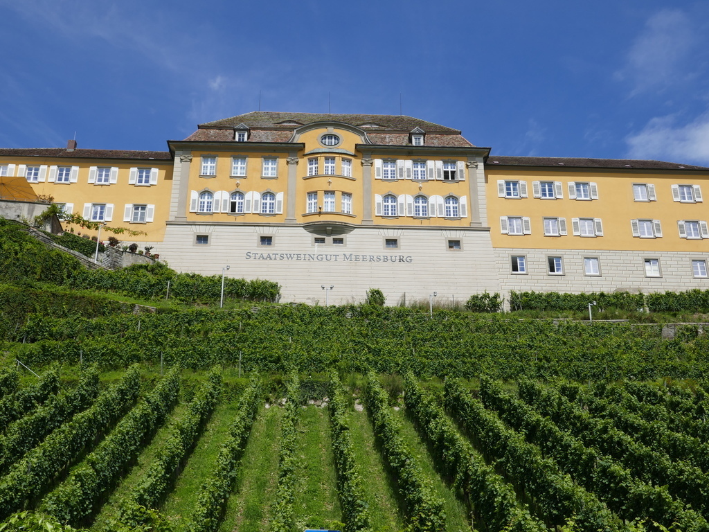 Staatsweingut Meersburg 
