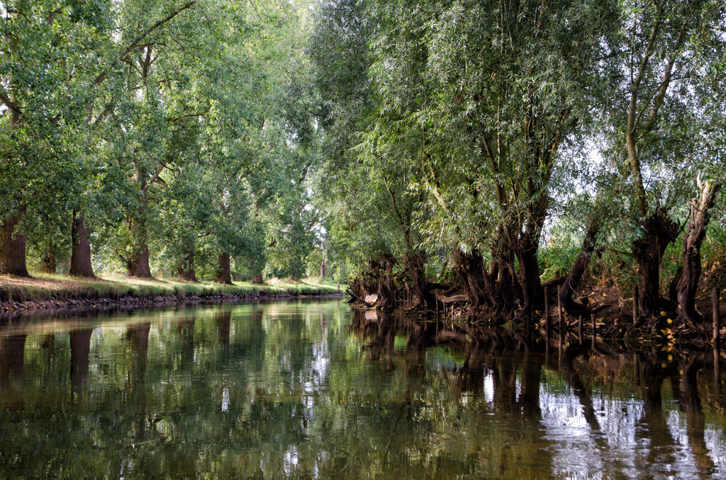 Paddling on the Niers (30km)