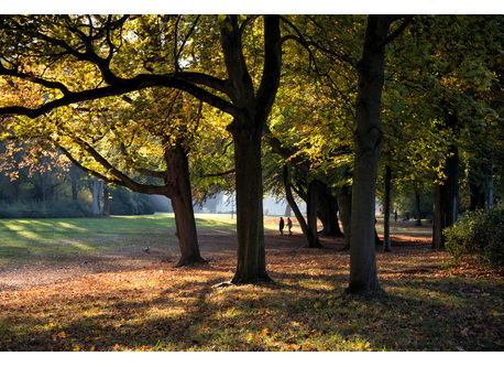 Schönwasser park and botanical garden directly at the house