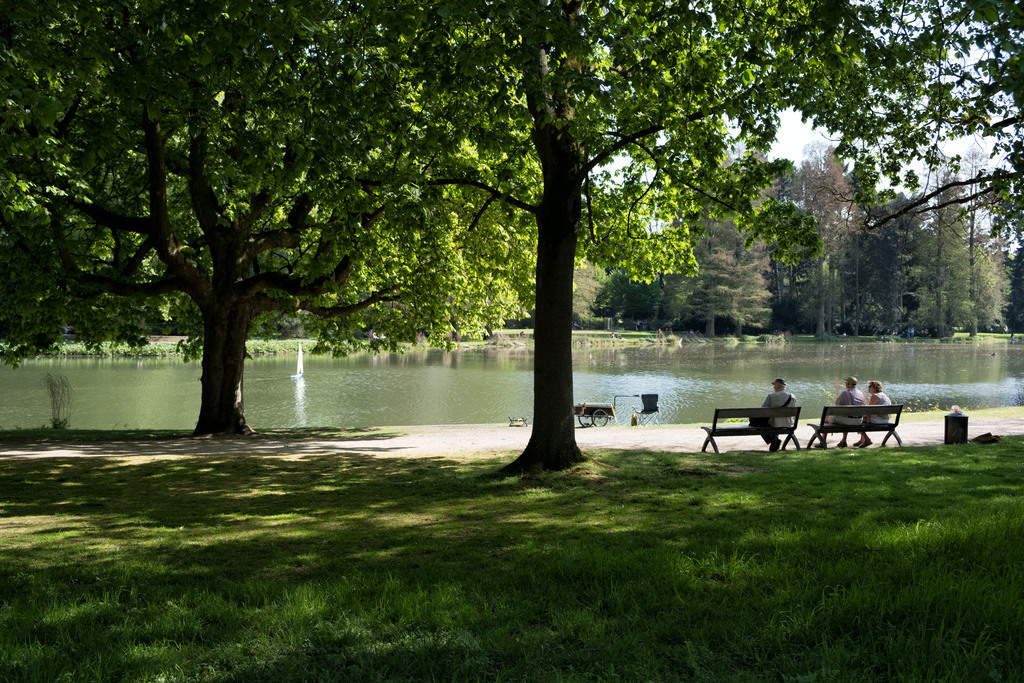Schönwasserpark by the house once more