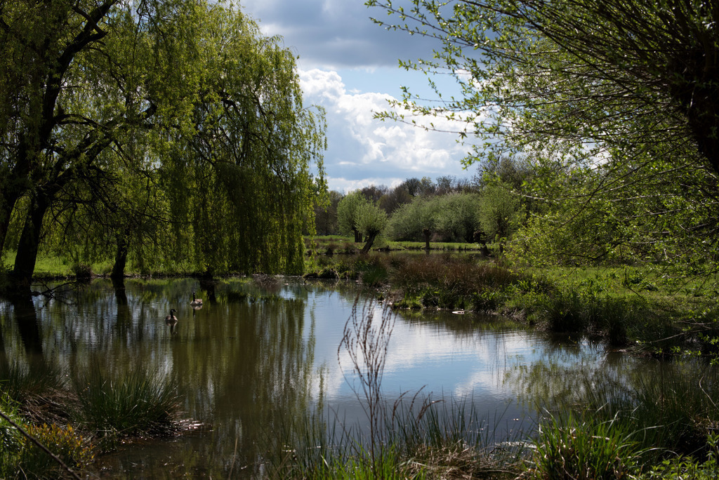 Museumsinsel Hombroich 35km
