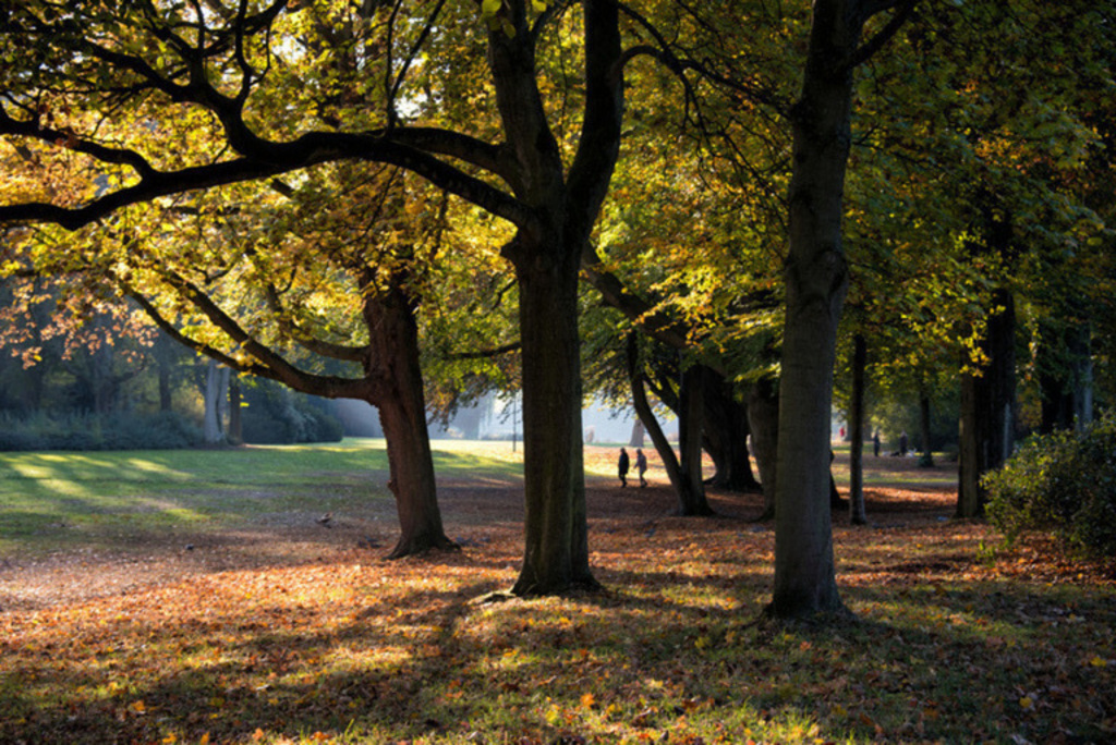 Schönwasser park and botanical garden directly at the house