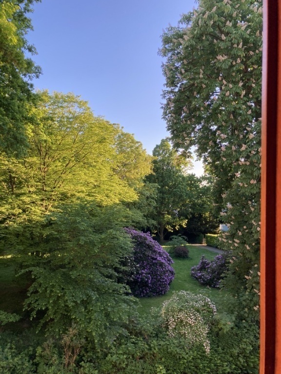 The view out of the window