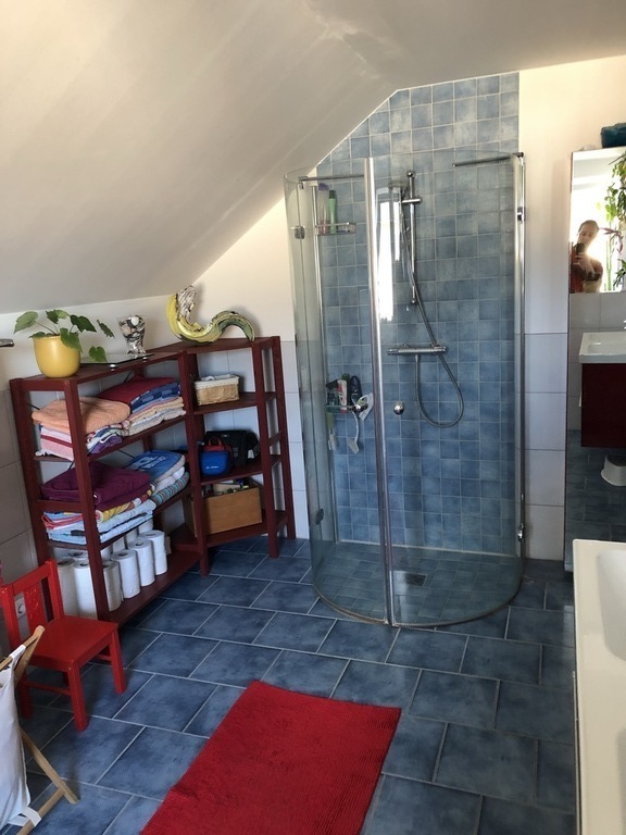 shower in the bathroom