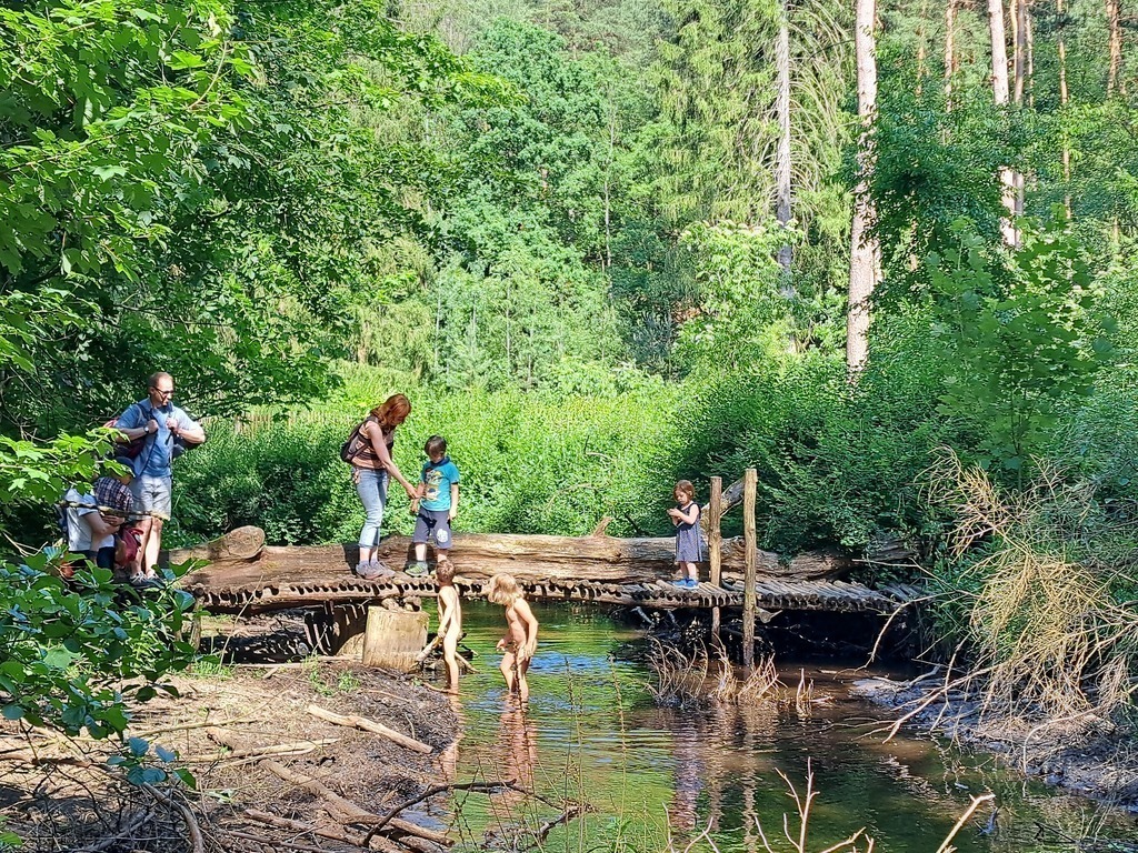 5 min from our home, cool stream for playing and relaxing in the woods
