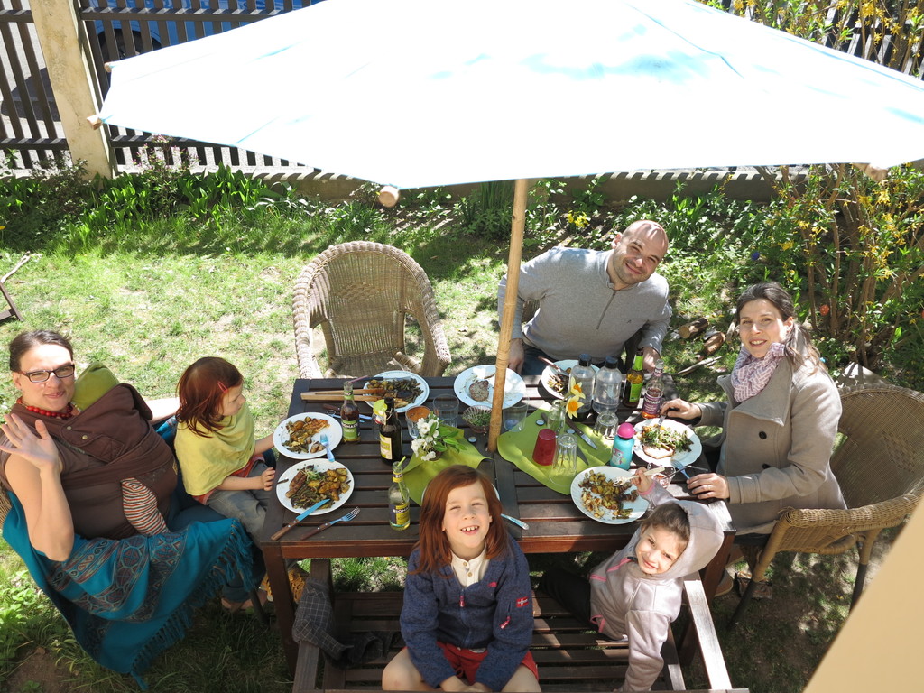 view from our kitchen window into the garden