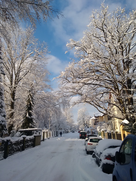 street in front of our house in winter