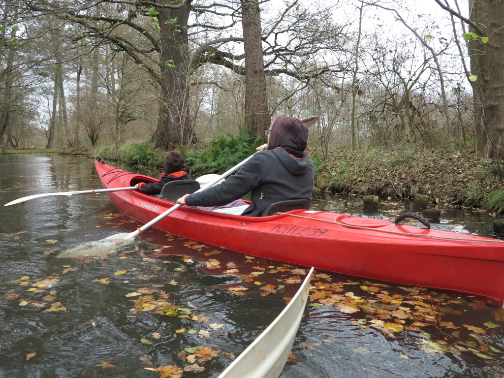 paddling in the Spreewald 