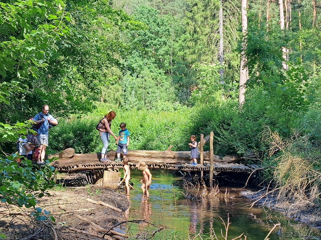 5 min from our home, cool stream for playing and relaxing in the woods