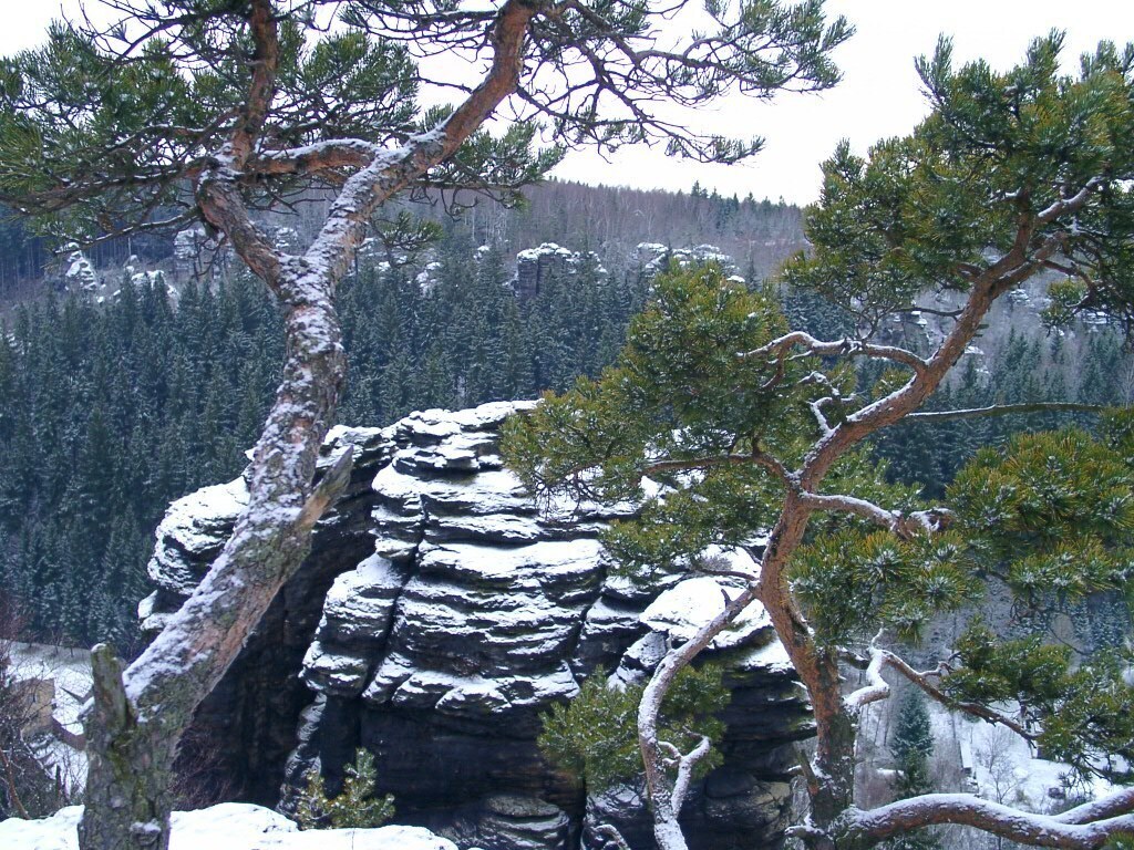 Sächsische Schweiz in winter