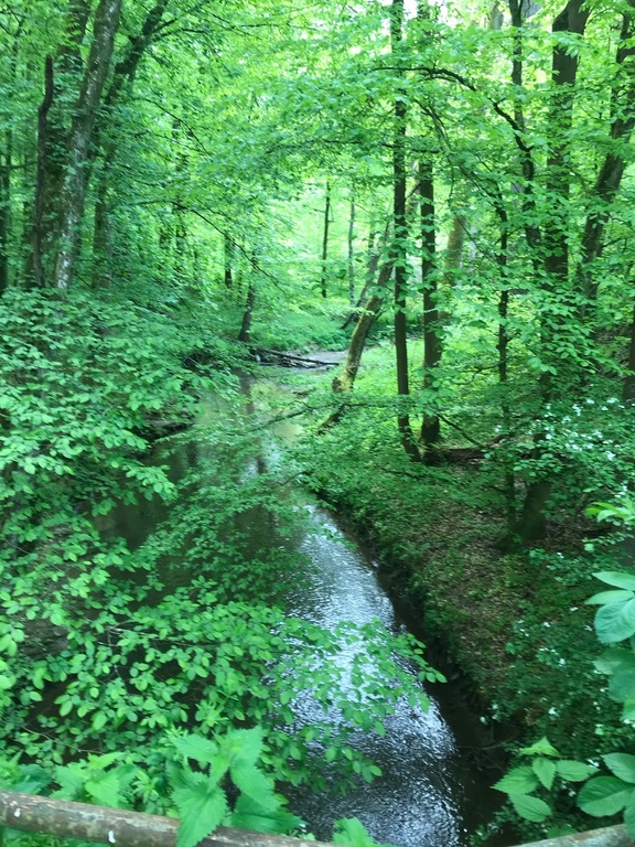Fahrradweg Emsbach-Wörrsbach