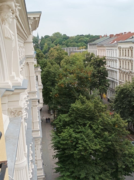 View from the front balcony
