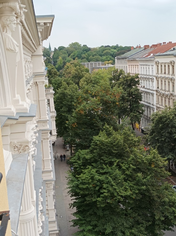 View from the front balcony
