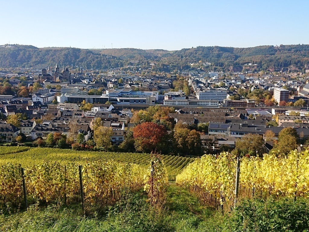 View on Trier from "Kreuzweg"