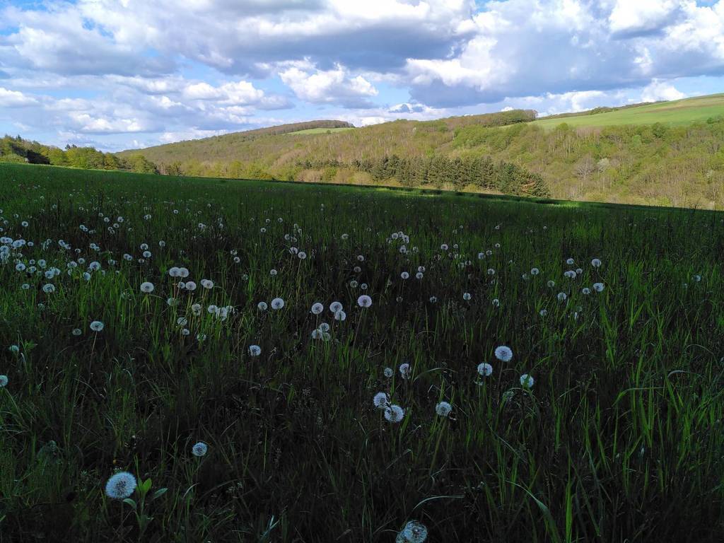 "Brubacher Tal", 4 km from here.