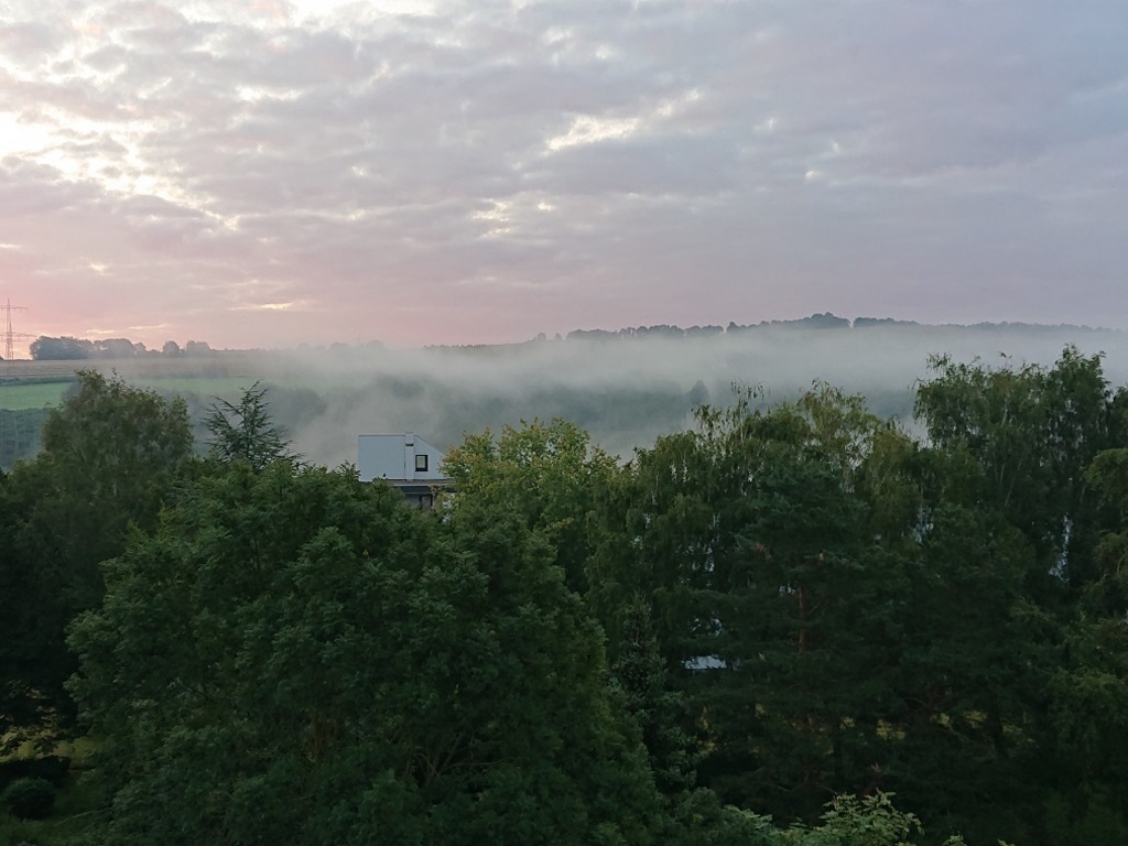 View to Tarforst