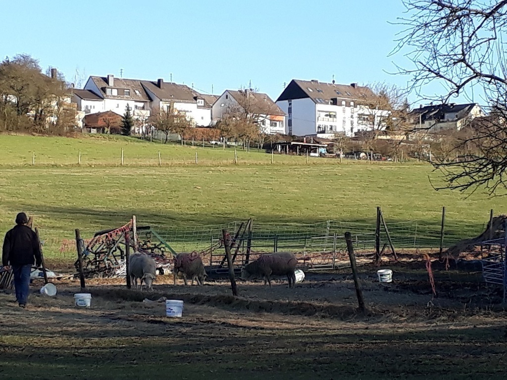Walking to Tarforst.
