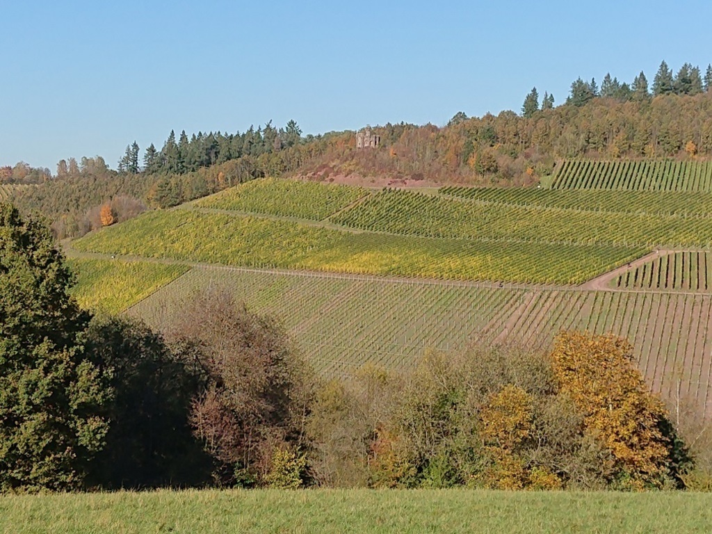 Vineyards nearby