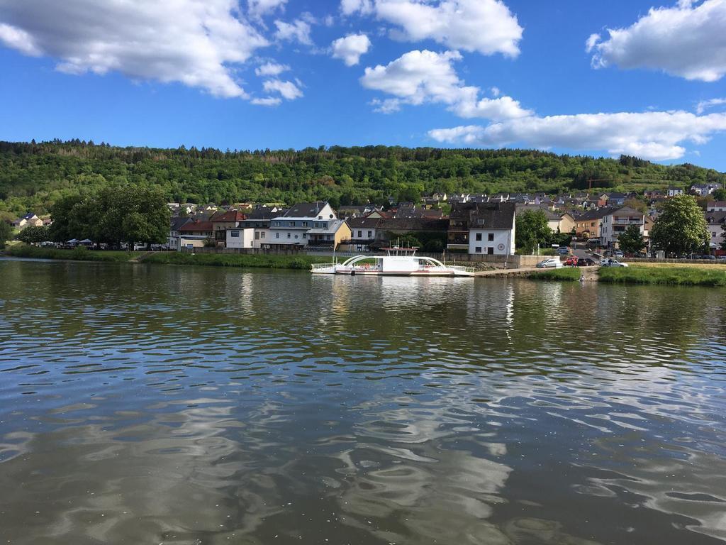 The moselle, view  from Wasserbillg - Luxemburg to Oberbillig - Germany, 22 km away.
