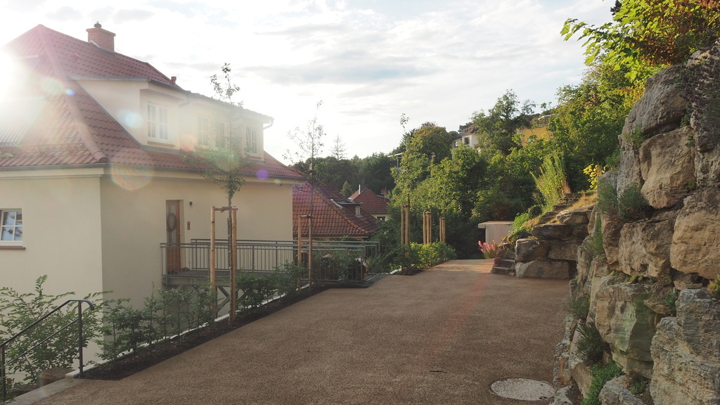 driveway to our house