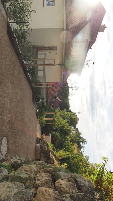 driveway to our house