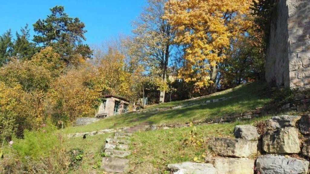 part of the garden