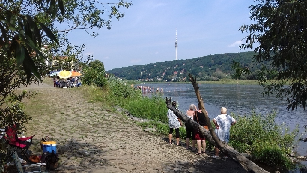 the river Elbe near our home